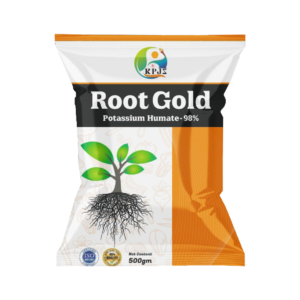 Root Gold