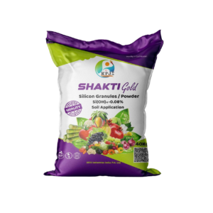 Shakti Gold Silicon Granules